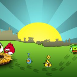 Angry Bird Wallpapers Group