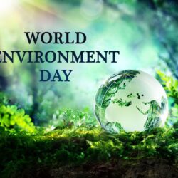 World Environment Day Hand Nature Hd Image