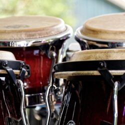 4 bongo drums free image