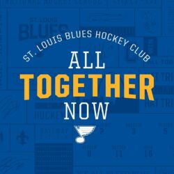 10 Most Popular St Louis Blues Wallpapers FULL HD 1920×1080 For PC
