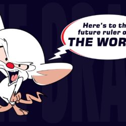 Pinky And The Brain Wallpapers 20