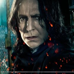 Alan Rickman Wallpapers, Photos & Image in HD