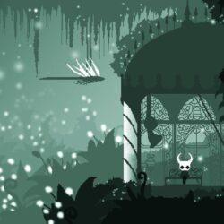 Hollow Knight HD Wallpapers 20