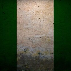 Animals You Are Viewing Flags Nigeria Flag 2199284 Wallpapers wallpapers