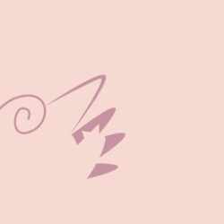 Download Minimalistic Clefable