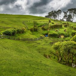 Hobbiton, near Matamata, North Island, New Zealand