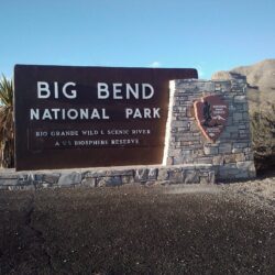 Suanne Online: Big Bend National Park Feb 2