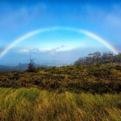 Hawaii Haleakala National Park Rainbow Maui Nature Parks Grass