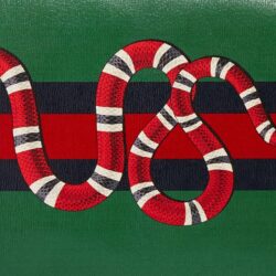 Gucci Snake Wallpapers 203648