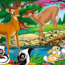 Cartoon Network Walt Disney Pictures: Bambi HD Wallpapers