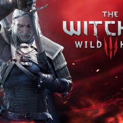 The Witcher 3 Wild Hunt Wallpapers, Top Beautiful The Witcher 3 Wild
