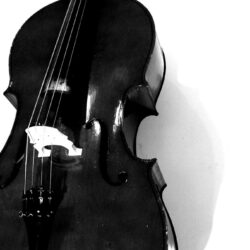 Image For > Black And White Cello Wallpapers