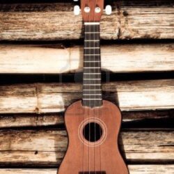 Ukulele on bamboo backgrounds Stock Photo