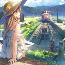 Download Anime Girl, Summer Dress, Strawhat, Cat, Train