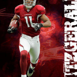 Larry Fitzgerald by Para