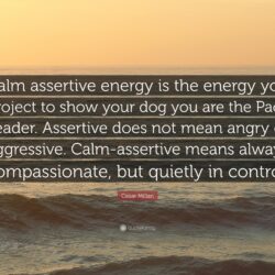 Cesar Millan Quote: “Calm assertive energy is the energy you project