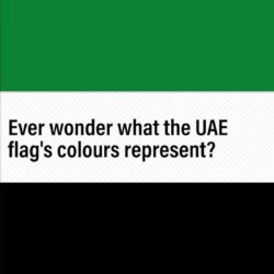 UAE National Day: the facts, figures and fun bits you need to know