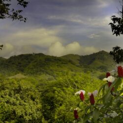 Landscape at Costa rica wallpapers and image