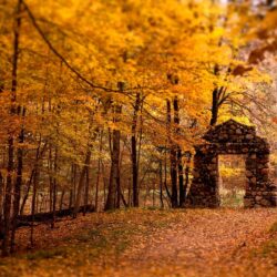 Fall HD Wallpapers › Findorget