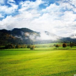 Beautiful Green Meadow HD desktop wallpapers : High Definition