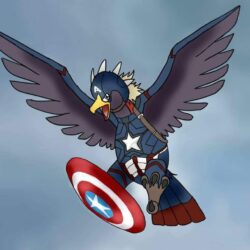 DA Captain America Braviary