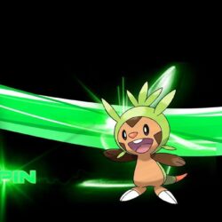 Chespin by xofficialaerox