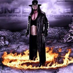 The Undertaker