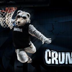 Minnesota Timberwolves Mascot Crunch!