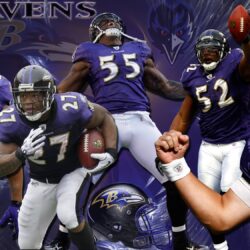 Baltimore Ravens Wallpapers 2014