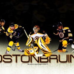 Boston Bruins Desktop Wallpapers Free 24022 Image