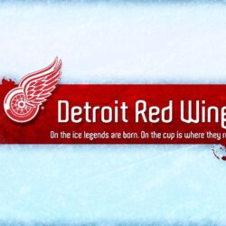 Imágenes de Detroit Red Wings
