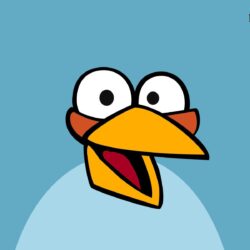 Angry Birds Wallpapers, Pictures, Image