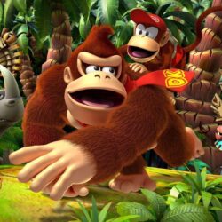 Donkey Kong Country Returns wallpapers 29144