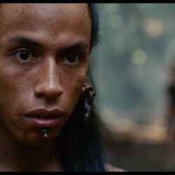 movies apocalypto wallpapers and backgrounds