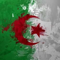 algeria flag paint HD wallpapers