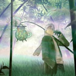 Mushishi Wallpapers, 36 Mushishi Gallery of Pictures, Fungyung