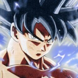 Complete Version of Ultra Instinct Has Already Been Revealed
