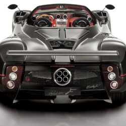 Animals For > Pagani Roadster Wallpapers