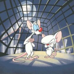 Pinky and the Brain Wallpapers