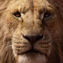 James Earl Jones As Mufasa The Lion King 2019 4k, HD Movies, 4k