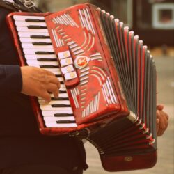 red black and white accordion free image