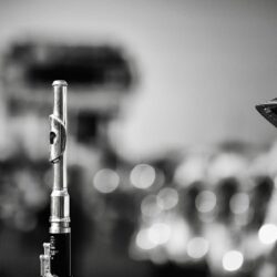 flute wind instruments military band flutist h b close up HD wallpapers