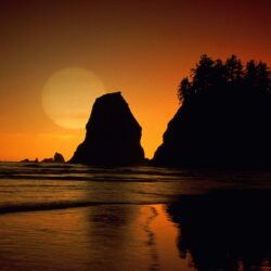 Free Second Beach Olympic National Park Washington Wallpapers