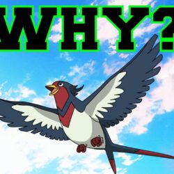 Why Mega Evolve? Swellow