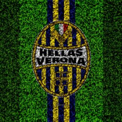 Download wallpapers Hellas Verona FC, 4k, logo, football lawn