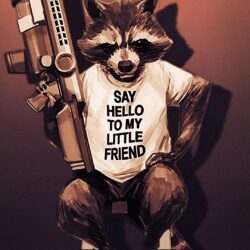 Rocket Raccoon