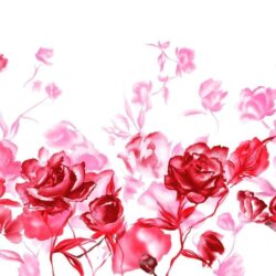 rose patels valentine day 2015 wallpapers
