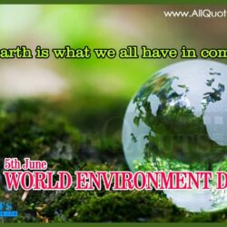 40 Most Wonderful World Environment Day