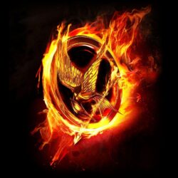 The Hunger Games Wallpapers