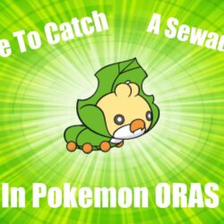 Where to catch a sewaddle in pokemon omega ruby and alpha saphire